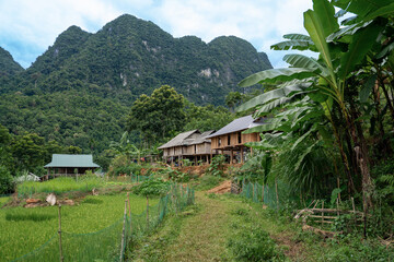 Northern Vietnam, landscape and villages in the National Park of Pu Luong. 