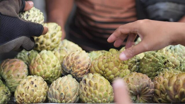 Selective focus Sugar-apple fruit (Annona squamosa) on table for sell in market of the tropical fruit that also known as sweetsop or custard apple.