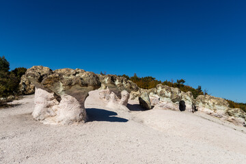 The Natural Phenomenon Stone Mushrooms. The mushroom-shaped rock formations are sculpted in rhyolite volcanic tuffs.