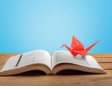 Cute origami bird on book on color background