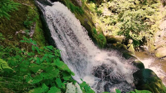 Splendid view of the water stream of Schwarzwald waterfall in Triberg. 