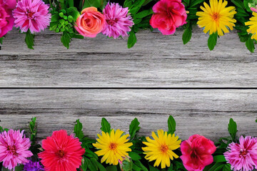 colorful flowers border on wooden background