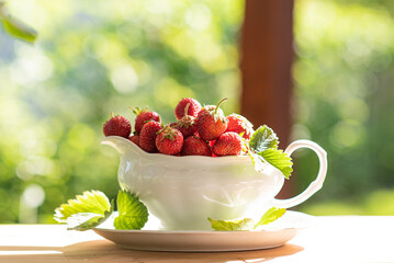 Strawberries in white jug,  sunny day in june, eating fruits in the garden, sparking bokeh