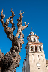 Fototapeta premium Bell tower of the Iglesia Mayor de Sanlucar de Barrameda, town of Cadiz, Spain