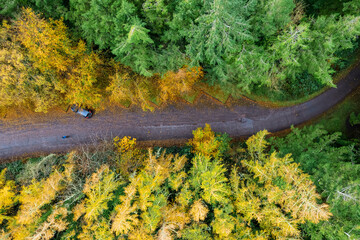 Aerial view on a forest park with car park, Yellow and green color of foliage. Autumn or fall season. Beautiful nature scene. Travel and explore nature concept.