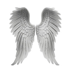 Obraz premium angel wings isolated on transparent background