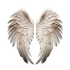 Obraz premium angel wings isolated on transparent background