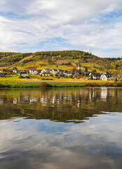 Fototapeta na wymiar Ellenz-Poltersdorf village houses, colourful vineyards and its reflection on Moselle river, Germany