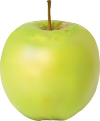 Photorealistic green apple. Vector file for designs.