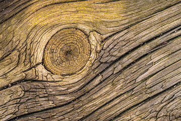 board structure with a knot