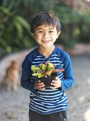 Boy with lettuce plant, holding vegetable in garden