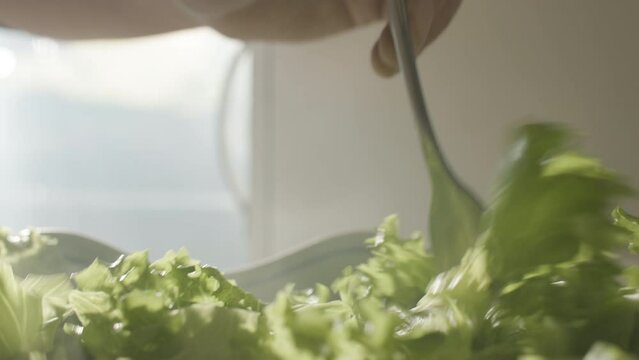Making salat fresh vegetable closeup healthy food