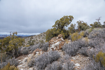 Landscape with dark clouds over Spring Mountain Recreation Area, Nevada