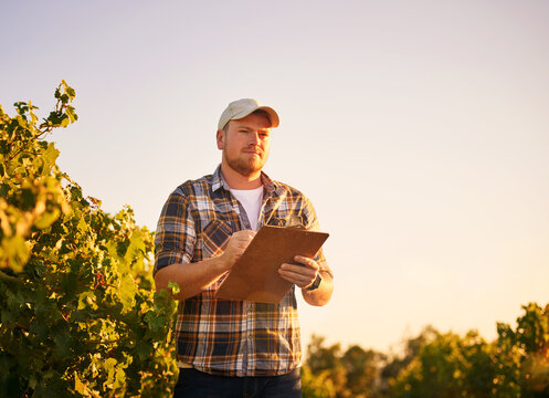 Ill be ready to harvest this crop soon. Shot of a happy farmer making notes on a clipboard while standing in a vineyard.