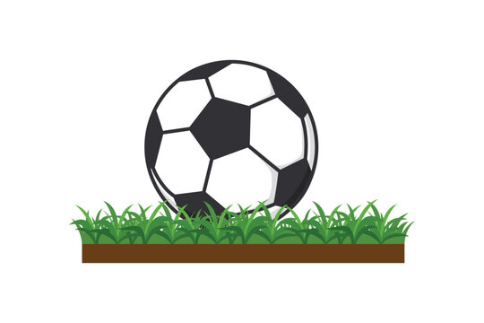 Soccer ball. ball design illustration on grass in flat style.