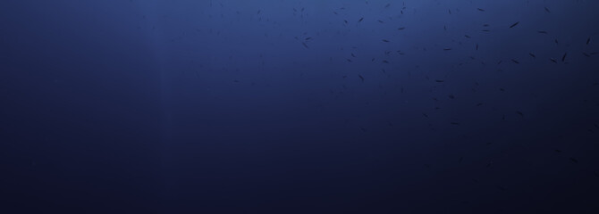 bubbles under water diving background