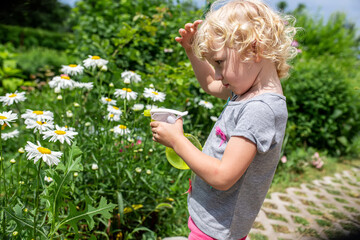 A child splashes from a spray bottle spray with water for spraying plantsonto large white daisies...