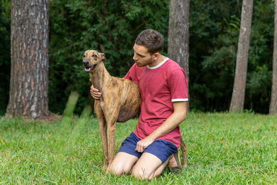 hombre joven, caucasico, con un perro galgo, disfrutando al aire libre.