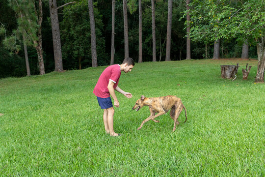 hombre joven, caucasico, con un perro galgo, disfrutando al aire libre.
