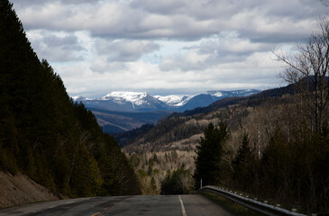 Fototapeta premium mountain