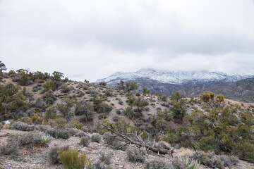Desert landscape with mountain background and blue sky with white clouds