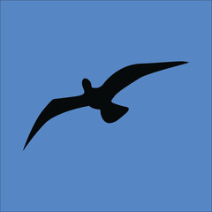 The silhouette of Bird Flying on the sky with blue background - Vector Illustration