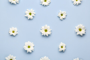 Obraz premium Composition with chamomile flowers on light background