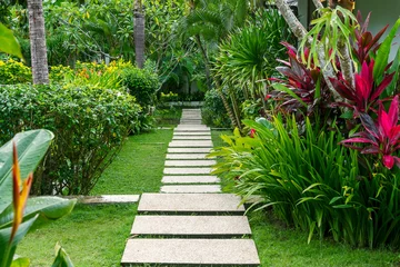 Fotobehang Groen Well-kept tropical garden with a path after the rain.