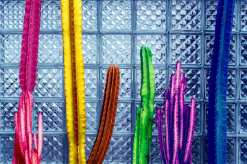 Trendy tropical cactus against a wall of glass blocks. Minimal creative style or fashion concept.