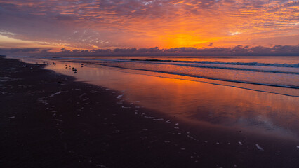 Fototapeta na wymiar Beach Sunrise with Birds