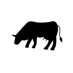 Obraz na płótnie Canvas Silhouette Cow