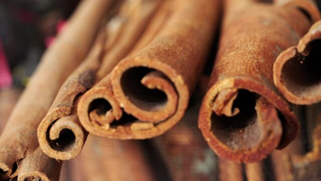 Beautiful dolly of cinnamon tree bark. Dried sticks. Close up