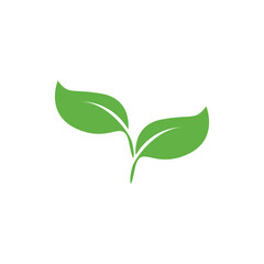 Leaf icon