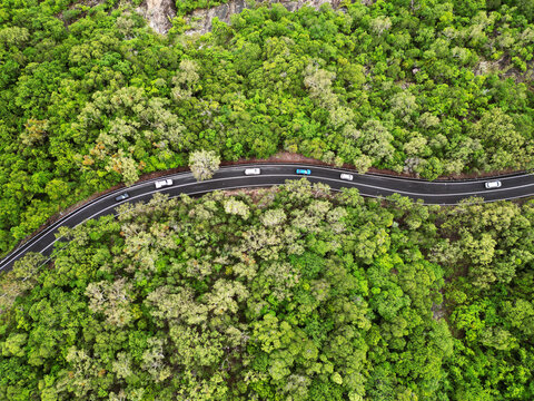 bird view drone road in woods forest