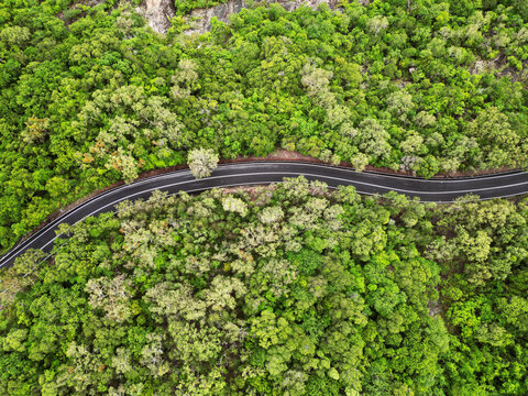bird view drone road in woods