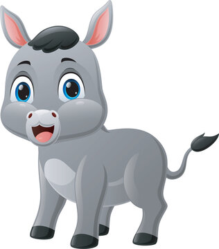 Cute baby donkey cartoon on white background