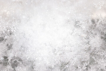 ice snow crystals background abstract white winter