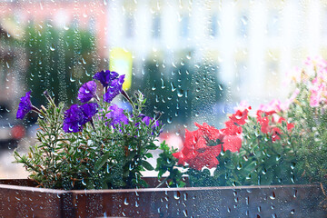 spring rain background flowers springtime ecosystem water drop effect