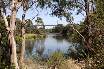 Freshwater lake in Westgate Park, Melbourne, Victoria, Australia.