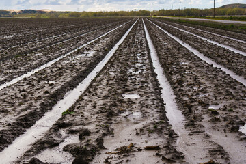 Agricultural field after the rain, deeply plowed before sowing seeds, California, early Spring