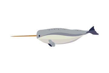 narwhal arctic animal © Stockgiu