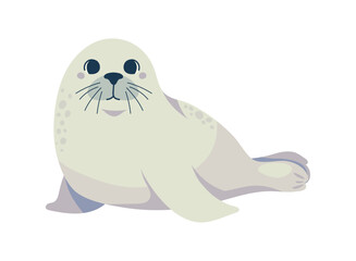seal arctic animal