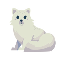 Obraz premium fox arctic animal