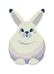 rabbit arctic animal