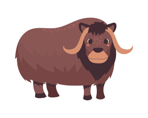 bison arctic animal