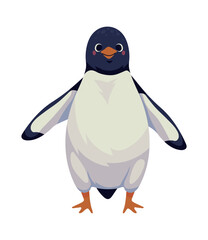 penguin arctic animal