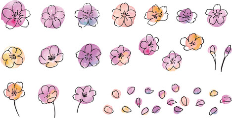桜の花びら。水彩タッチの桜の花びらベクターイラスト。桜の花びらイラストセット。Cherry blossom petals. Cherry blossom petals vector illustration with watercolor touch. Cherry blossom petal illustration set.