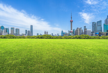 The grass and the city in Shanghai, China