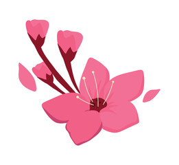 sakura flower icon © Stockgiu
