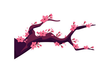sakura tree flowers